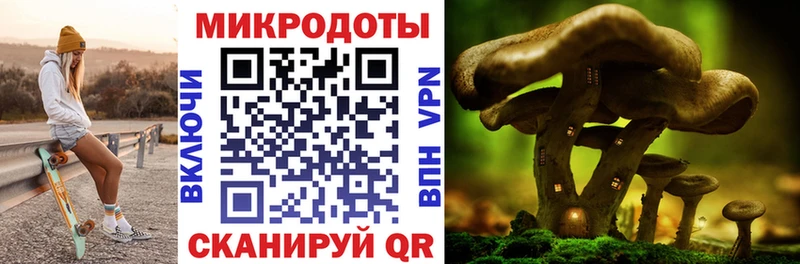 сколько стоит  Новоульяновск  Галлюциногенные грибы мицелий 